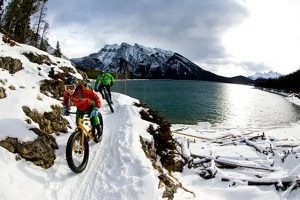 试管婴儿双胞胎:成功率及优缺点全面解读