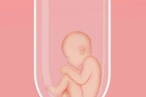 试管婴儿机构选择指南:国内顶尖生殖中心及成功率的重要因素解析