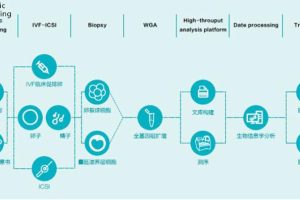 高龄女性进行试管婴儿的成功案例与科学分析