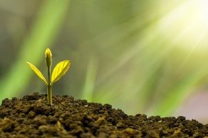 辅助生殖技术(试管婴儿):成功率的影响因素及周期时间详解