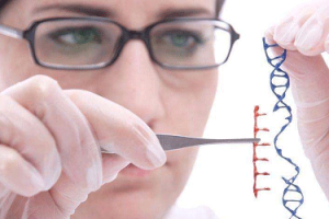 如何选择专业的辅助生殖机构?权威建议与重要标准