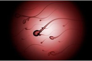 辅助生殖技术科普:推荐国内口碑优良的生殖中心(附选择建议)