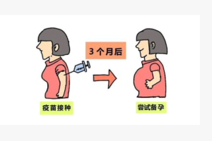 辅助生殖的小知识:人工受孕与试管婴儿,二者究竟有何区别?