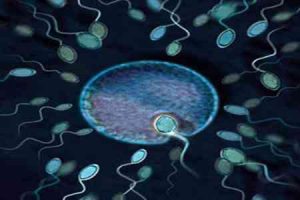 辅助生殖技术的费用及其影响因素