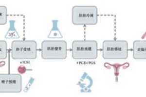 辅助生殖技术:费用、成功率及术后注意事项是什么?