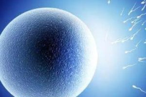 试管婴儿(体外受精和胚胎移植):步骤、要求与常见疑问