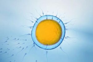 辅助生殖技术科普指南:人工授精(IUI)与试管婴儿(IVF)