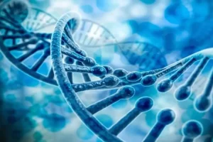 全面了解辅助生殖:从诊断到术后随访的完整流程指南