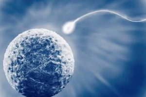 环境污染与不孕不育:人工授精与试管婴儿,如何选择?