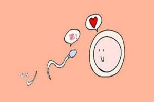 泰国辅助生殖技术:费用、性别筛查政策及技术优势分析