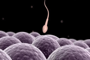 验孕:最佳测量时间是什么时候?注意这些细节,避免白白测试!