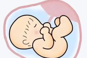 验孕棒如何正确使用?检测时间与操作细节全攻略