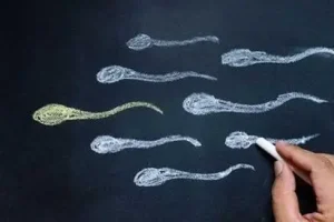 如何正确使用验孕棒?什么时候能够检测到两条线?