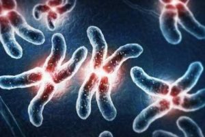 使用妊娠测试棒多久能测得阳性结果?同房7天后检测的准确性如何