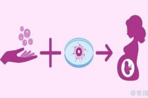 验孕棒使用指南:测试时机、准确性以及晨间与夜间测试的区别解析