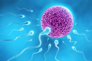 孕早期看到肉就想呕吐,这与胎儿性别没有关系!