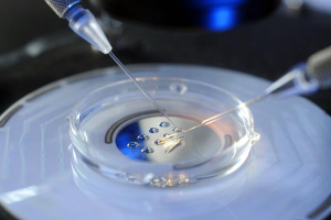 早孕症状:起始时间、结束时间及需关注的特殊情况