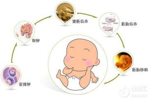 早孕反应通常从何时开始?会持续多长时间?有哪些因素会影响其严