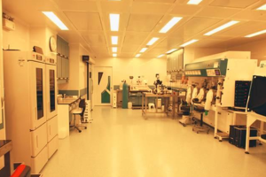 妊娠检测的最佳时机是什么时候?