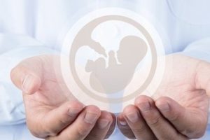 试管婴儿胚胎培养分级:2分钟掌握重要知识要点