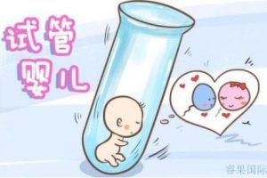 试管婴儿促排卵阶段,这样饮食能促进优质卵泡的形成!