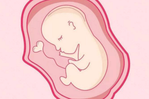 试管婴儿促排卵全面指南