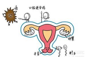 关于排卵诱导及提升卵泡质量在辅助生殖中的应用