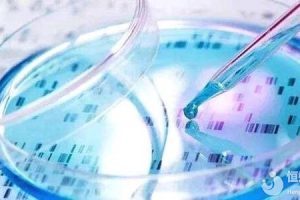 促排卵药物的安全性与有效性核心问题分析