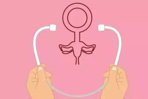 试管婴儿胚胎选择指南:鲜胚、囊胚和冷冻胚胎,哪种更适合你?