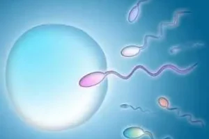 辅助孵化技术:是针对胚胎还是囊胚?一次性了解其优缺点与潜在风