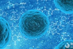 胚胎冷冻与试管婴儿:费用及收费标准详细解析