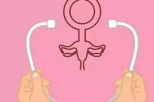 囊胚与新鲜胚胎:试管婴儿移植时该选择哪一种?