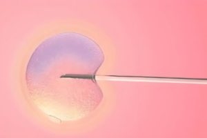 试管婴儿胚胎培养:3至5天的“生命发育之旅”