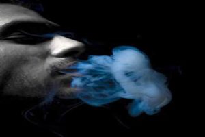 胚胎着床:怀孕准备过程中必不可少的关键环节