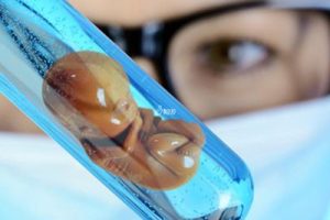 试管婴儿为何会屡屡失败?——深入探讨反复移植失败的根本原因