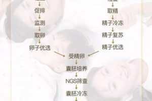试管婴儿取卵前的一项重要步骤:“夜针”的功能与注意事项