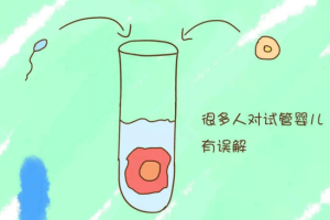 取卵前可以同房吗?卵泡需要达到多大才合适?