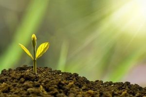 试管婴儿取卵后出现腹水该怎么办?教你三步识别、应对和预防