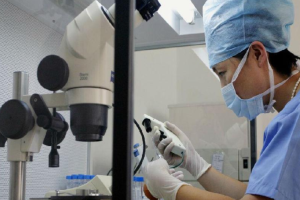 取卵术后的注意事项:只取成熟卵子吗?卵巢如何恢复?胚胎什么时