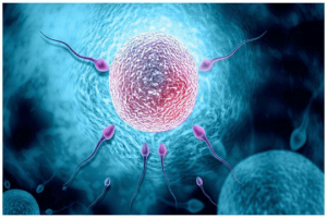 试管婴儿取卵后,疼痛持续多长时间算是正常的?如何科学地缓解这