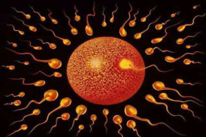 取卵术后该如何处理?医生为您提供正确的应对方法和注意事项