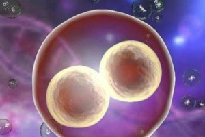 试管婴儿取卵后出现腹水该怎么办?何时会出现?这是一份易懂的应