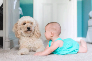 取卵术后如果出现腹腔积液,该如何处理?