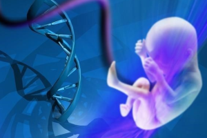 试管婴儿技术:你需要了解的基本信息