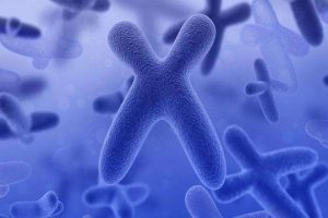 试管婴儿夜间注射全面指南:功能、注射位置及注意事项宝典