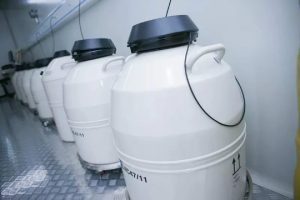 试管婴儿夜间注射时间为何因人而异?如何找到最合适的时间?