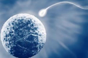 试管婴儿夜间注射完整指南:注射时间、取卵时机及重要注意事项