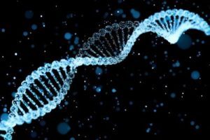 试管婴儿术前检查全面指南:时间、内容与费用解析