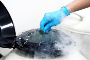 试管婴儿的治疗方案是从月经的第一天开始吗?