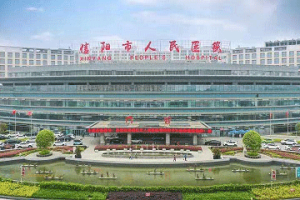 多重入卵:它是什么?卵子的保护机制及其潜在风险